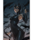 Gotham City Sirens #1 Catwoman DC Jeehyung Lee Variant Cover (08/2024) Pre-Sale May 10th 11 AM PST