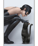 Catwoman #89 C Jeehyung Lee Card Stock Variant Cover DC (7/15/2026)