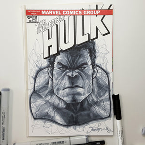 Marvel Hulk Sketch Art Blank by Jeehyung Lee Exclusive